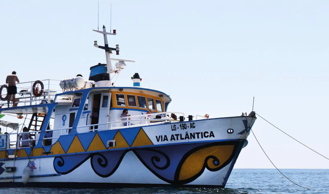 Actual Boat Trips