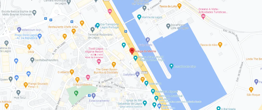 Localização no Google Maps