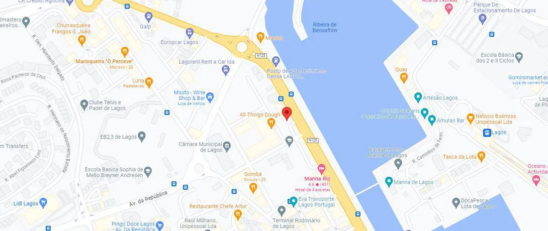 Google Maps Location