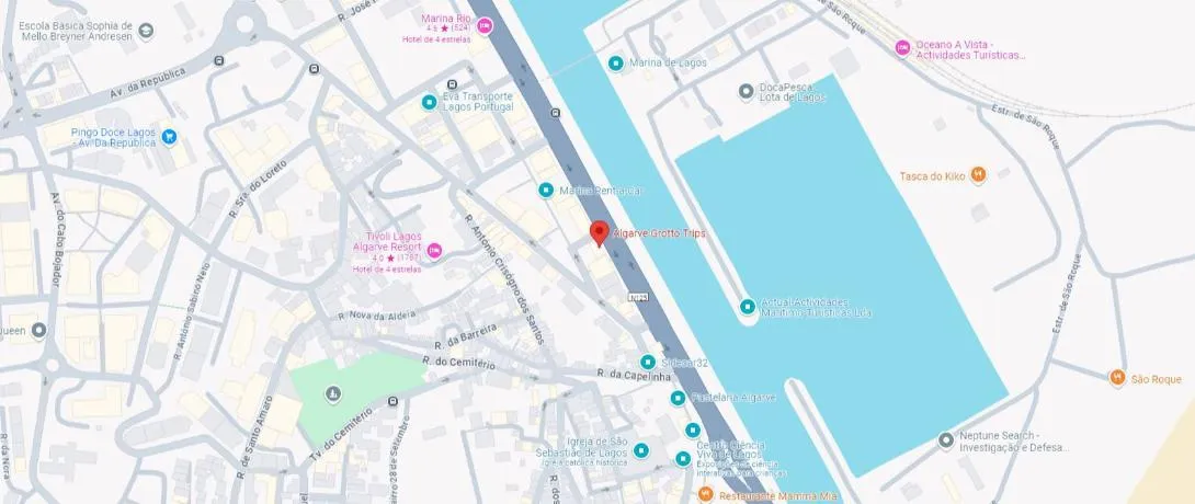 Localização no Google Maps