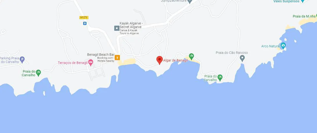 Google Maps Location