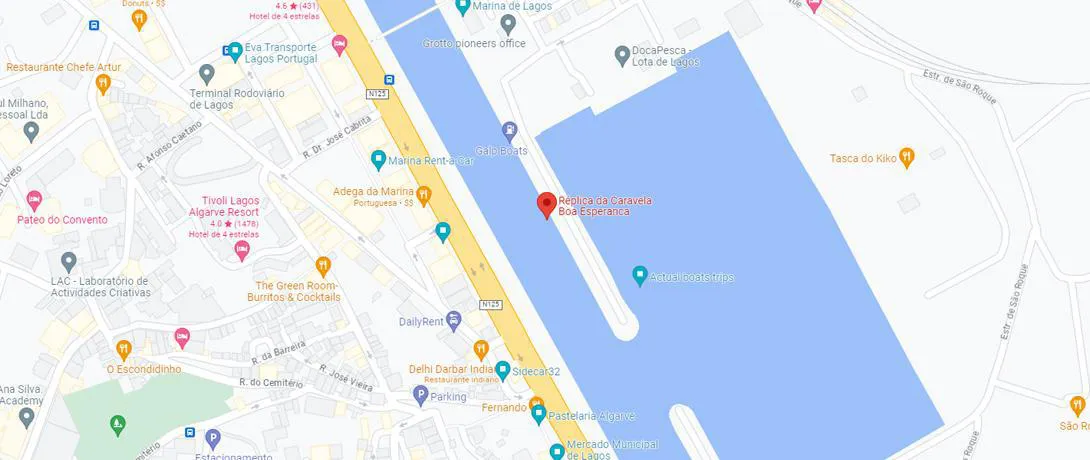 Google Maps Location