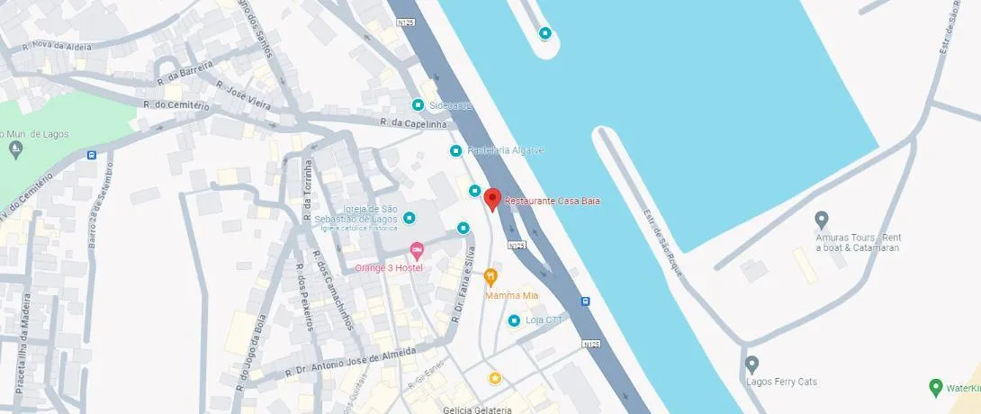 Localização no Google Maps