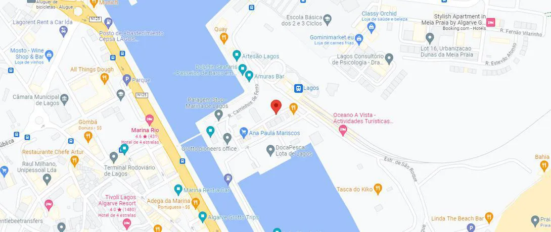 Localização no Google Maps