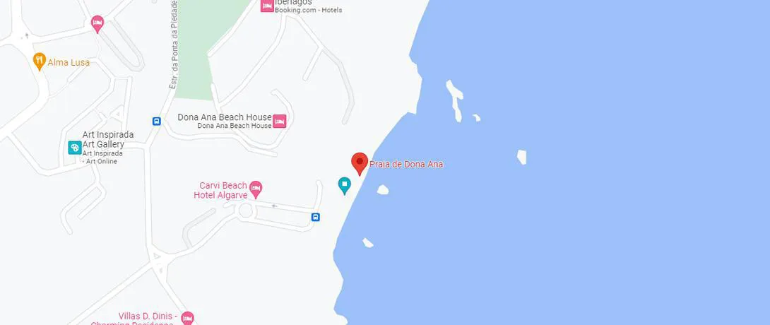 Google Maps Location