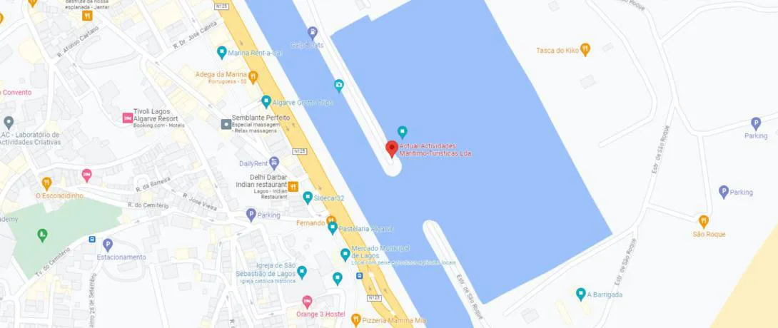 Google Maps Location