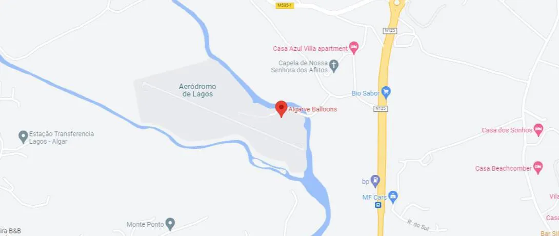 Google Maps Location
