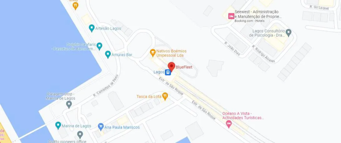 Localização no Google Maps
