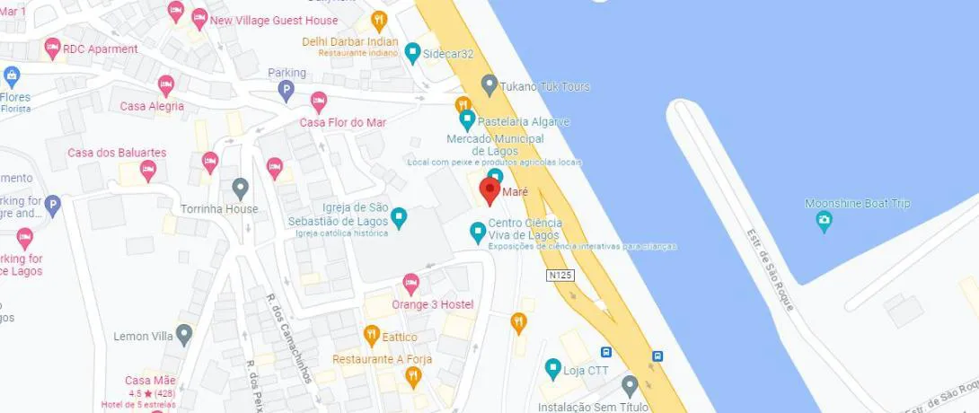Google Maps Location