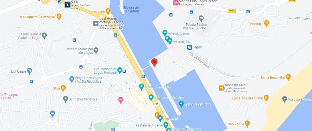 Google Maps Location