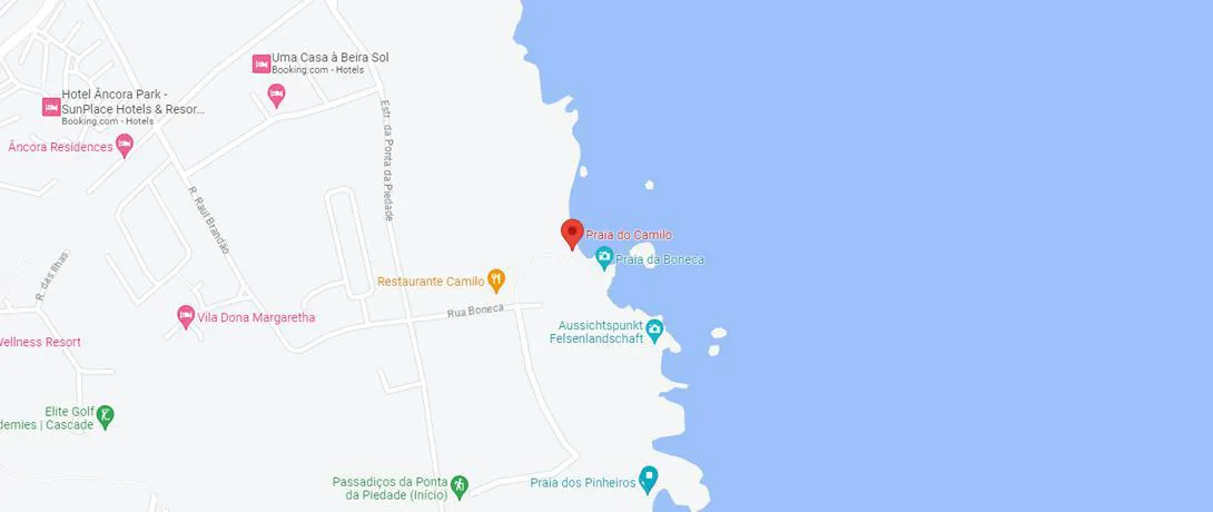 Google Maps Location