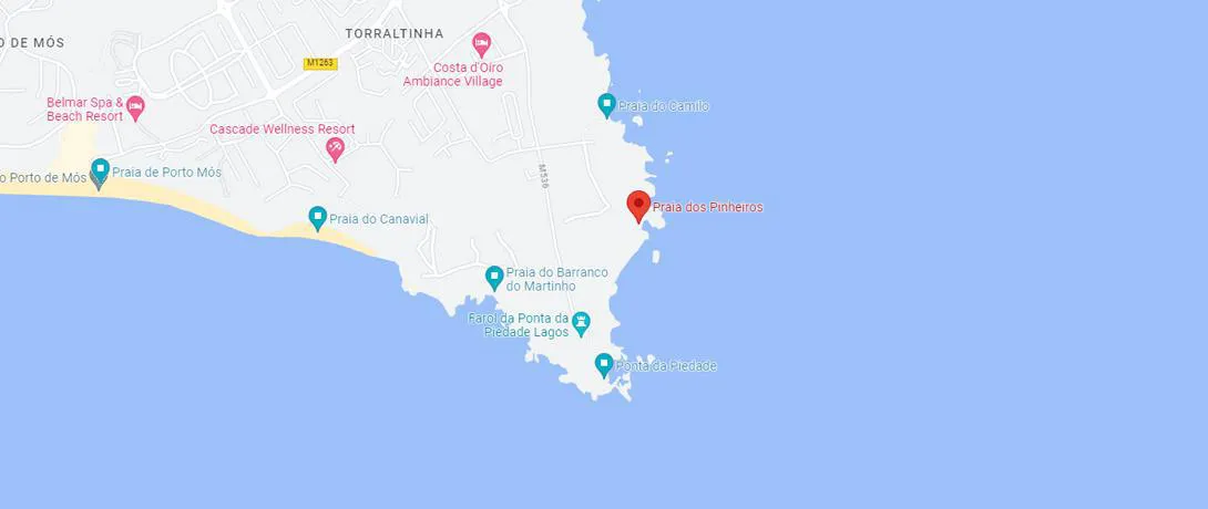 Google Maps Location