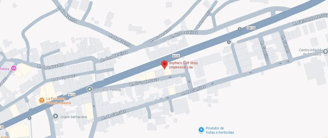 Google Maps Location