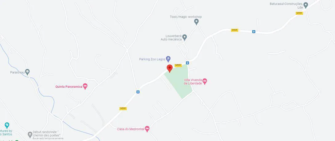 Google Maps Location